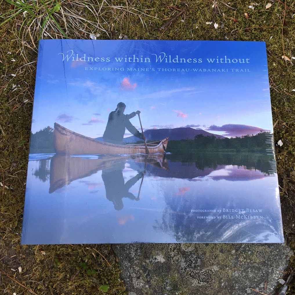 Wilderness Within Wilderness Without
