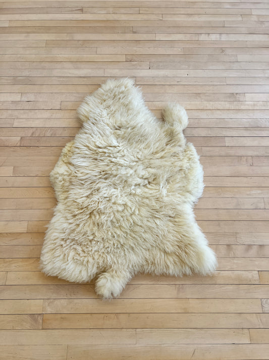 Sheep Pelt from Salt Marsh Farm